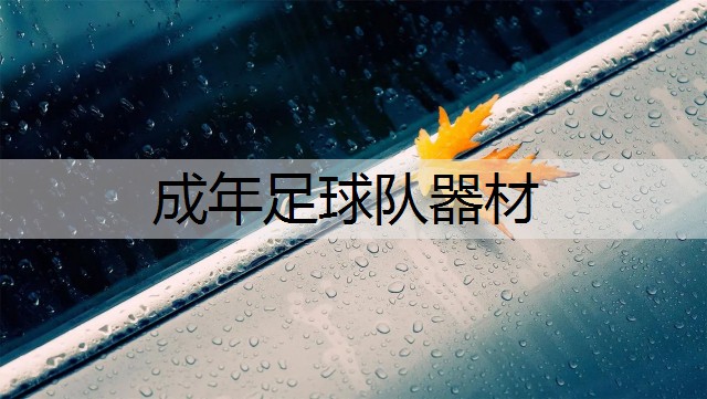 成年足球队器材