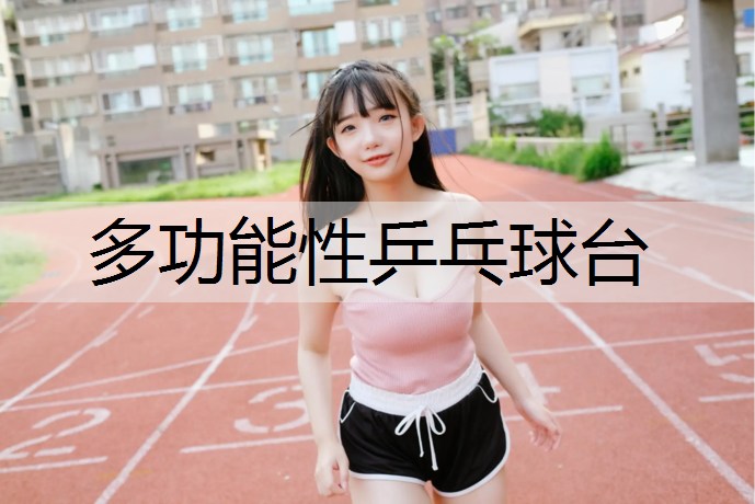 多功能性乒乓球台