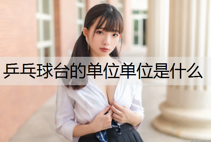 乒乓球台的单位单位是什么
