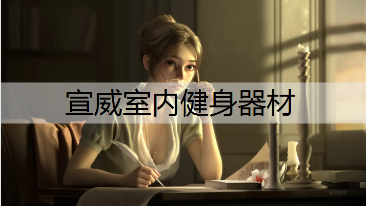 宣威室内健身器材