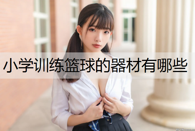 小学训练篮球的器材有哪些