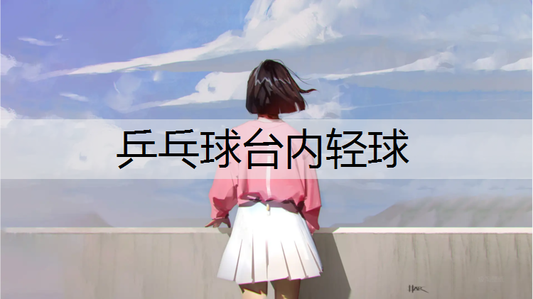 乒乓球台内轻球