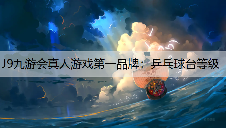 J9九游会真人游戏第一品牌：乒乓球台等级
