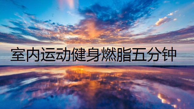 室内运动健身燃脂五分钟