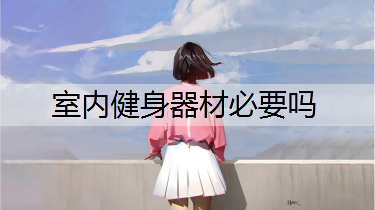 室内健身器材必要吗