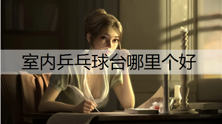 室内乒乓球台哪里个好