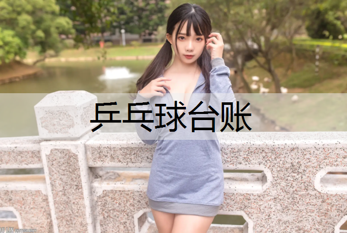 乒乓球台账