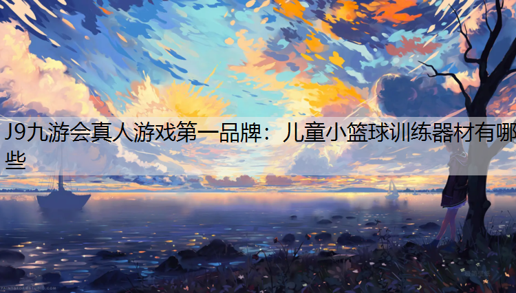 儿童小篮球训练器材有哪些