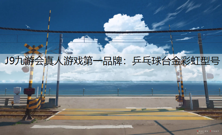 乒乓球台金彩虹型号
