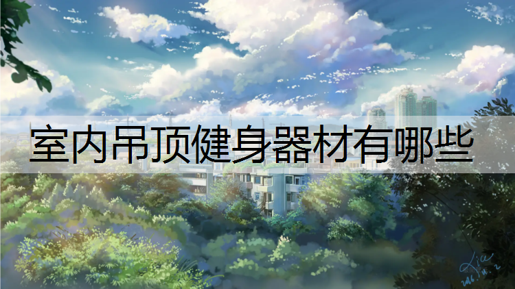 室内吊顶健身器材有哪些