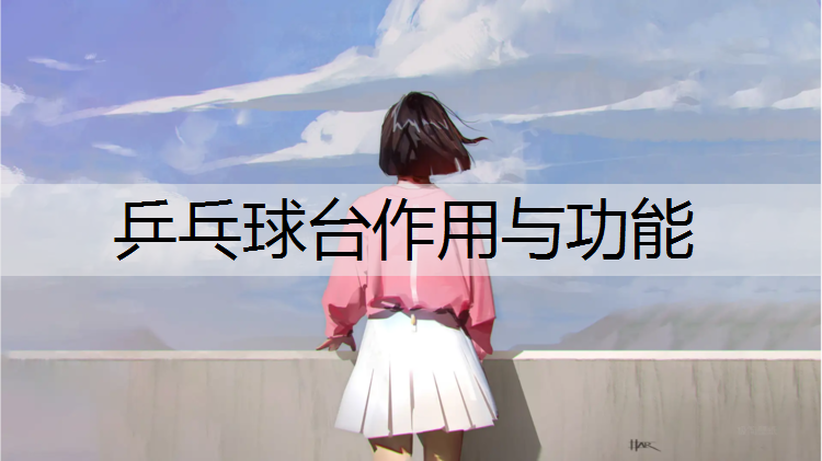 乒乓球台作用与功能