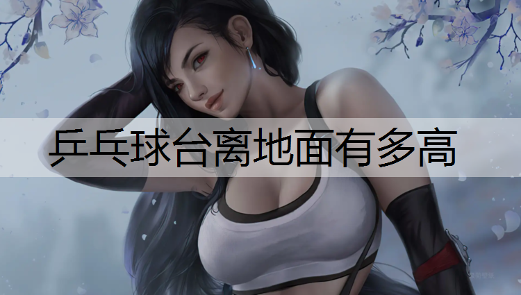 乒乓球台离地面有多高