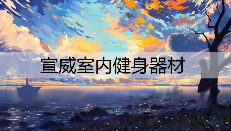 宣威室内健身器材